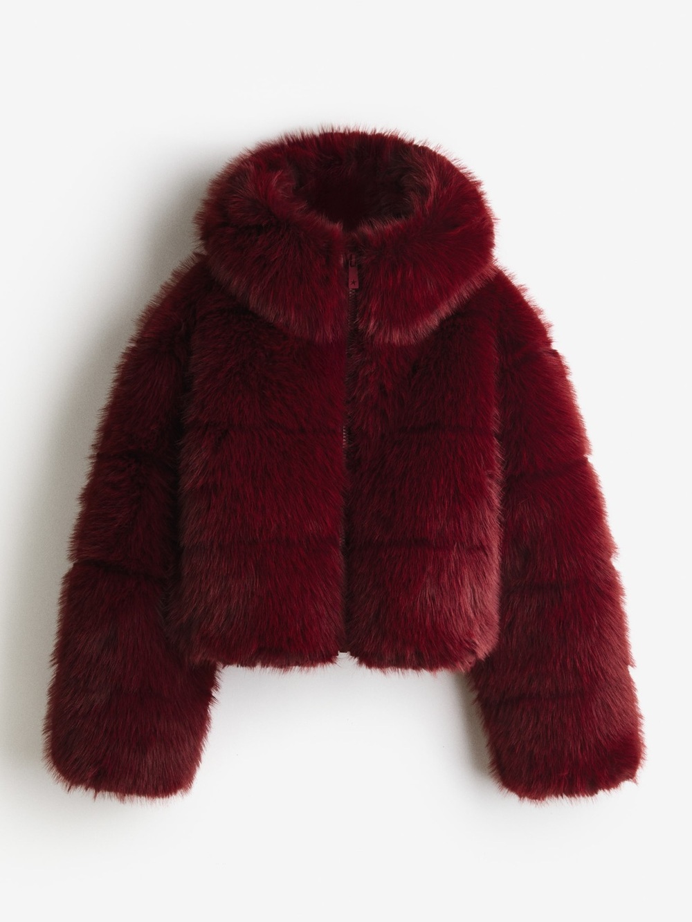 H&M Perfect Moment Ski Jacket